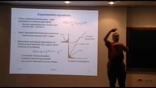 Condensation of excitons and polaritons 3  Littlewood [upl. by Atterol]