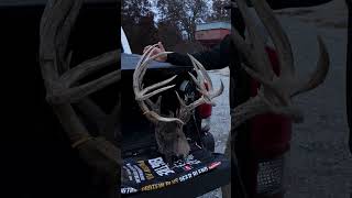 240quot Iowa Buck Claimed by EHD [upl. by Eilyak300]