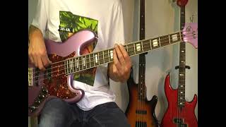 Typically Tropical  Barbados  Bass Cover [upl. by Llerdnad]