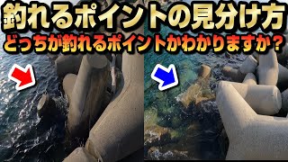 なぜここが釣れる？釣れるポイントと釣れないポイントの見極め方解説【テトラポットスロープ堤防の際】 [upl. by Oconnor]