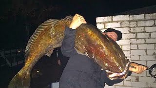 WEIGHING THE GIANT JEWFISH  YouFishTV [upl. by Rama]