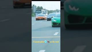 Lamborghini car automobile dreamcar shorts viralshorts trendingshorts trendingshorts [upl. by Sivat883]