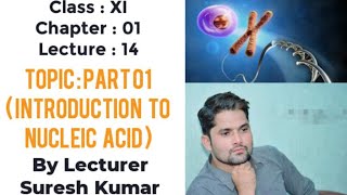 Nucleic acid class 11nucleic acid biochemistrySTB NCERT PTB FTBHindiUrdu By SirSuresh Kumar [upl. by Hairym]