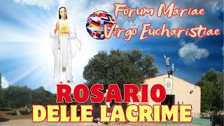 592024  ROSARIO DELLE LACRIME A MARIA SANTISSIMA [upl. by Atteloiv]