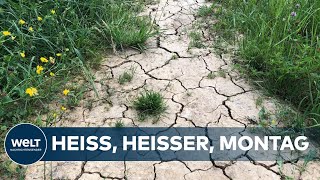 WELTWEIT HEISSESTER TAG JEMALS Klimawandel bringt Menschen und Ökosysteme an die Grenze [upl. by Worra]