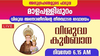 21 NOVEMBER 2024  HOLY MASS  ST ANTONYS PILGRIM CHURCH MALAPALLIPURAM [upl. by Marola]