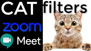 Using a Cat Filter with Zoom and Google Meet [upl. by Kola]