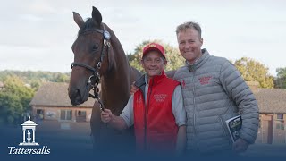 Tattersalls October Yearling Sale Book 1 Day 3 Review 2022 [upl. by Amliv545]