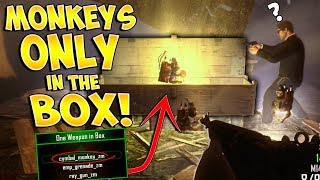 MONKEYS ONLY IN THE MYSTERY BOX MOD Zombie Mod Trolling [upl. by Ahgiela]