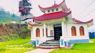 Single Tree Hill  Nuwara Eliya  Sri Lanka [upl. by Cenac]