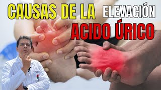 Causas de la Elevación del Ácido Úrico Dr Javier E Moreno [upl. by Elleunamme]