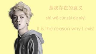 Luhan 鹿晗  Excited 封印 ChinesePinyinEng Lyrics [upl. by Georgette352]