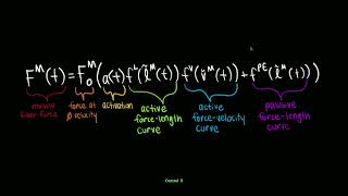 Isometric Length Tension Relationships [upl. by Netsruk]