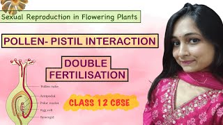 Pollen Pistil Interaction Double Fertilisation and Artificial Hybridisation [upl. by Jacobsohn]