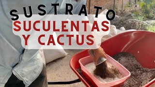 Cómo preparar sustrato para suculentas y cactus [upl. by Siubhan]