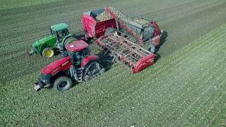 Bernia Family Farms Inc Sugar Beet Harvest 2016 [upl. by Eamaj]