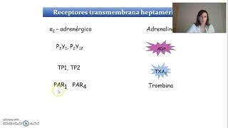 Activación plaquetaria y transducción de señales parte 1 [upl. by Barram]