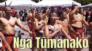 Ngā Tūmanako Kapa Haka Regionals 2020 Auckland Aotea Square [upl. by Ambrosius]