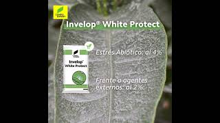 Invelop® White Protect  COMPO EXPERT [upl. by Studnia]