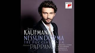 Jonas Kaufmann  Nessun Dorma from Turandot [upl. by Trudnak]