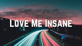 Avril Lavigne  Love Me Insane Lyrics [upl. by Assirec]