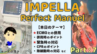 【ECPELLAってなに？】IMPELLA Part：7《ECMO併用と緊急時の対応を理解しよう！》 [upl. by Sirej]