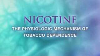 Visualization award winner in Science  Nicotine addiction and molecule diffusion [upl. by Joslyn]