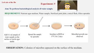 Exp Microbiology B Pharma 3rd Sem To perform bacteriological analysis of water sample [upl. by Moule]