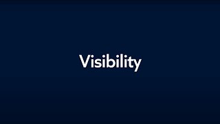 Visibility At last With Snow Atlas [upl. by Airym]