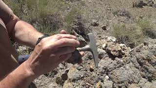 Nevada Fossils Crinoids Brachiopods Ammonites Corals [upl. by Eitsyrc933]