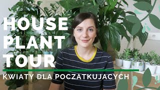 House plant tour czyli moja kolekcja roslin  Kwiaty dla poczatkujacych [upl. by Rehpatsirhc]