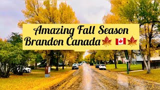 City of Brandon During Fall SeasonManitoba Canada [upl. by Sorilda690]