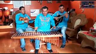 El Indio De Monimbo Rondalla De Pedro Muños [upl. by Saxen]