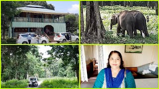 Night Halt at Gorumara Forest Bungalow  Exploring Gorumara Forest Bungalow [upl. by Alit378]