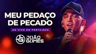 João Gomes  MEU PEDAÇO DE PECADO [upl. by Ikram325]