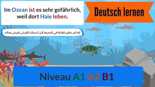 35  Deutsch lernen mit einfachen Sätze a1 a2 b1 تعلم اللغة الألمانية بجمل بسيطة [upl. by Yoral]