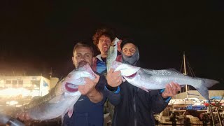 Jornada pesca spinning de róbalos en lancha Galicia [upl. by Leeth]