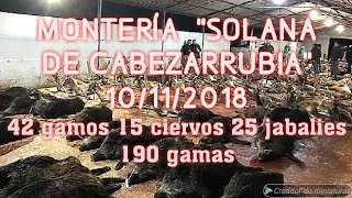 Monteria en Solana de Cabezarrubia Extremadura Badajoz 10112018 [upl. by Ashia]