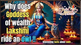 Why does goddess of wealth Lakshmi ride an owl  Interesting facts about owls  HappyDiwali [upl. by Nnaacissej]