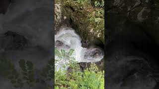 Gorges de la Langouette What a stunning waterfall Tré bon shortsvideo travel nature mdbc [upl. by Nairod]