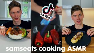 ASMR COOKING TIKTOK COMPILATION  Samseats [upl. by Lyons]