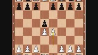 Chess Basics Pawn Overview [upl. by Mackie]