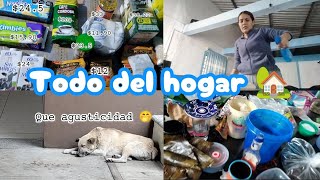 DESPENSA QUINCENAL POR 539 PESOS 🇲🇽 de mi mami 💓  Todo un caos 🫣😮‍💨 vlogsdiarios [upl. by Eimiaj]