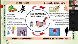 ¿Qué es la epigenética y como puede ayudarte a mejorar tu práctica clínica [upl. by Eannaj]