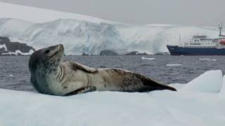 Antarctic Voyage on board mv Plancius part 3 of 3 [upl. by Anerda319]