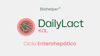 El ciclo enterohepático y DailyLact KOL ❤️ [upl. by Calia]