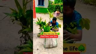 One tree 🌳 One life ✅️ save tree save life environment world treanding song viralshort [upl. by Pruter387]