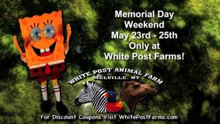 White Post Farms Family Fun Memorial Day 2015 [upl. by Phaedra118]