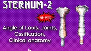 Sternum Anatomy Bangla2  For VIVA Hons Sternal angle Joints OssificationClinical anatomy [upl. by Paynter178]