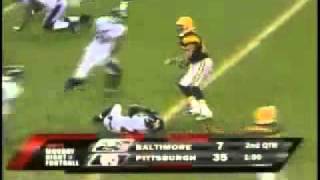 Hines Ward Levels Ed Reed [upl. by Hamilah]